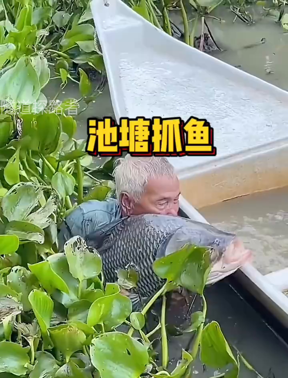 抓海鱼最好技巧(抓海鱼最好技巧是什么)