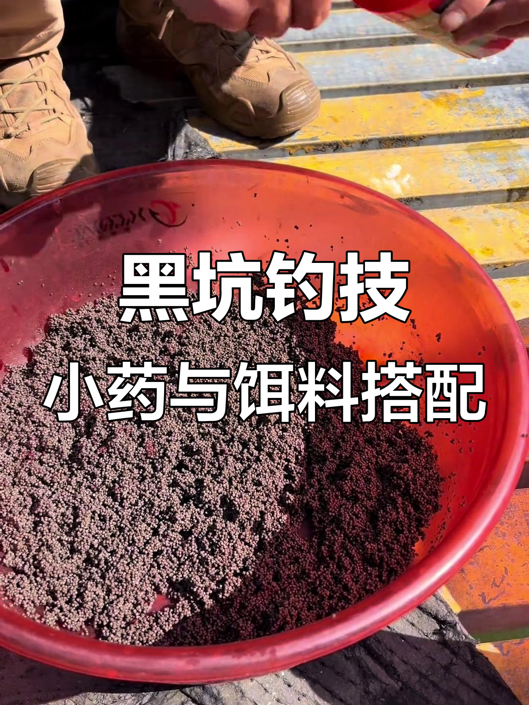 冬季黑坑技巧视频(冬季黑坑钓鱼视频)