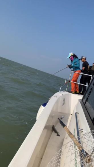鸡骨礁海钓怎么收费(海钓船价格及型号)