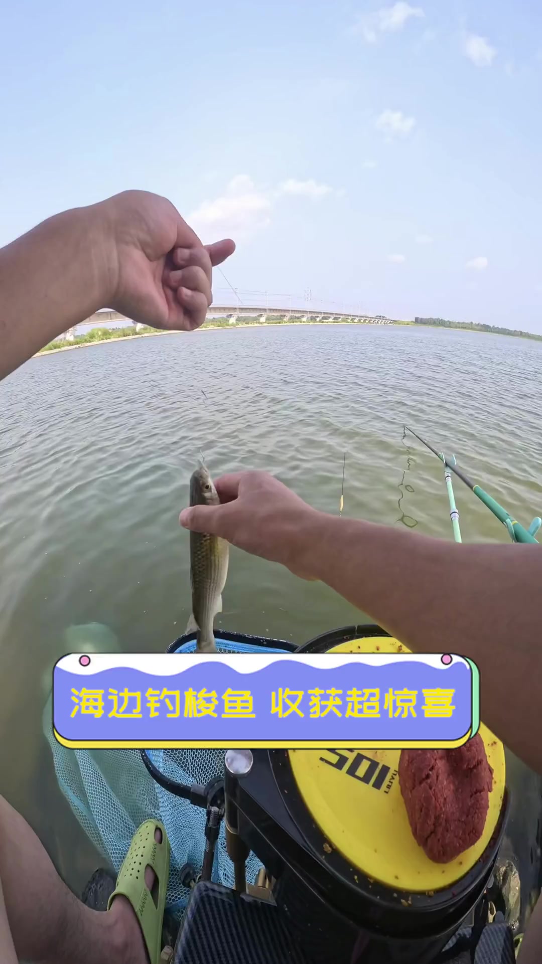 手杆钓淡水梭鱼技巧(手竿钓淡水梭鱼技巧)