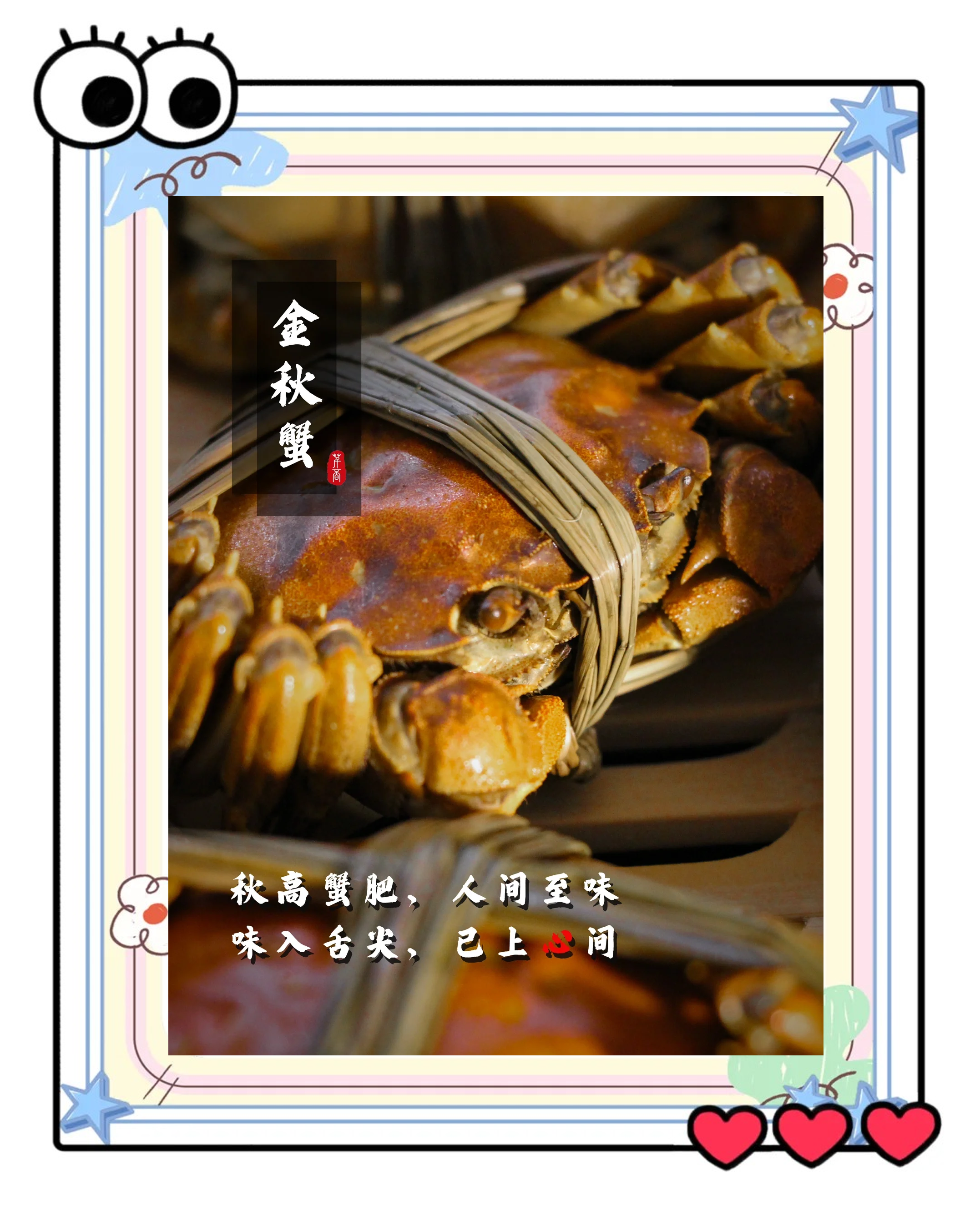 用螃蟹做饵料(螃蟹诱饵怎么做)