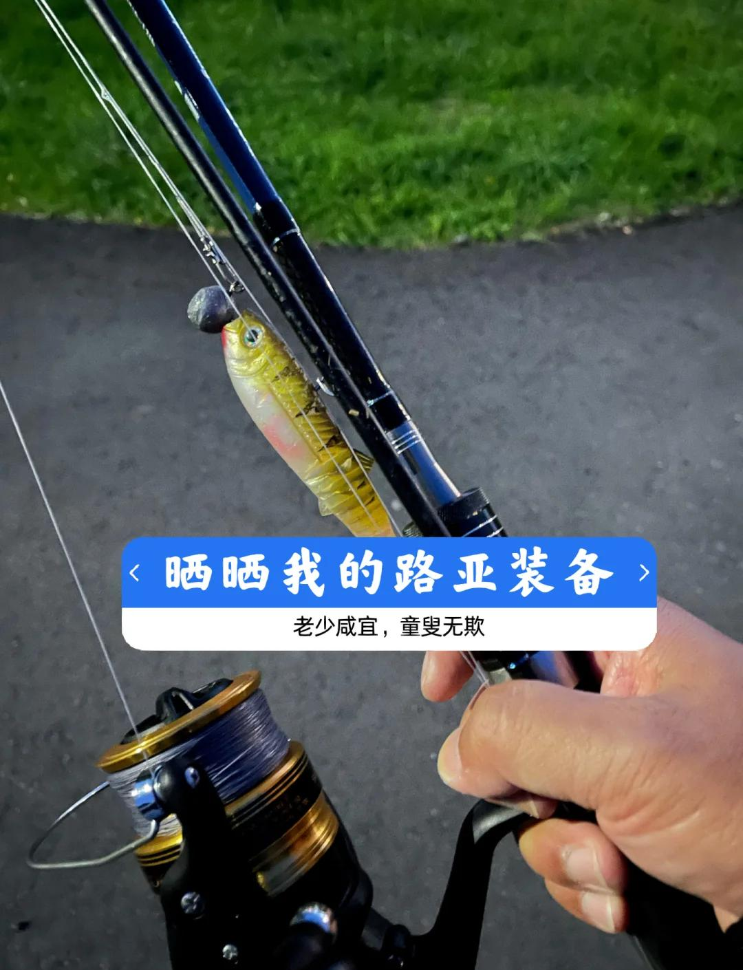 钓鱼路亚什么意思(什么是钓路亚)