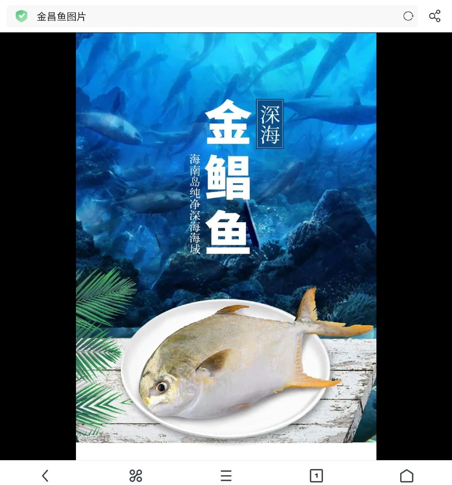 秋天钓鲳鱼技巧(秋天钓鲳鱼技巧图解)
