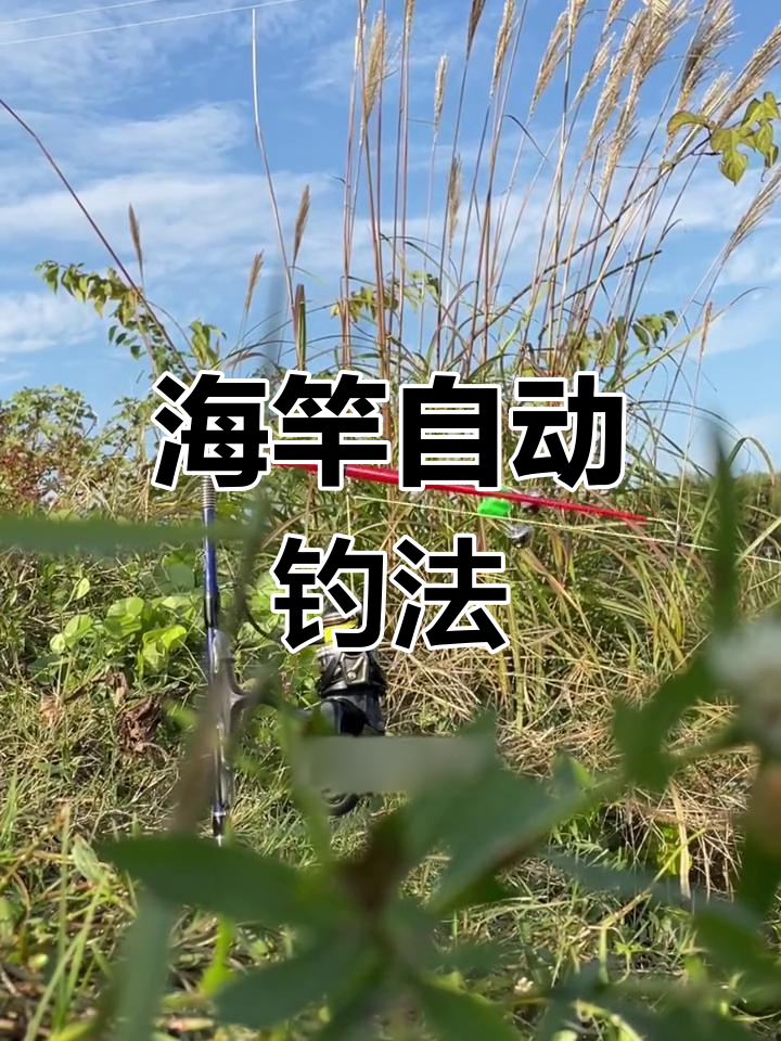 北方秋季海竿钓鱼技巧(秋季海杆钓鱼)