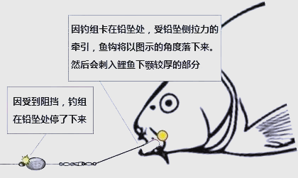 北方秋季海竿钓鱼技巧(秋季海杆钓鱼)