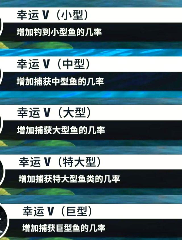 五一节早上钓鱼技巧(早上钓鱼的最佳时间地点)