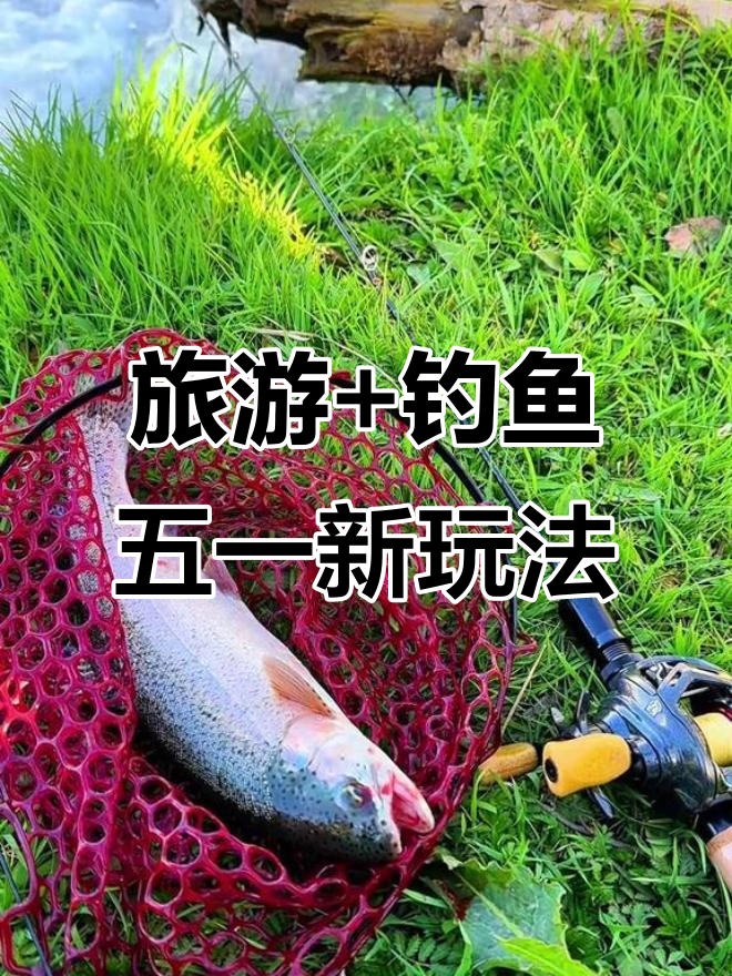 五一节早上钓鱼技巧(早上钓鱼的最佳时间地点)