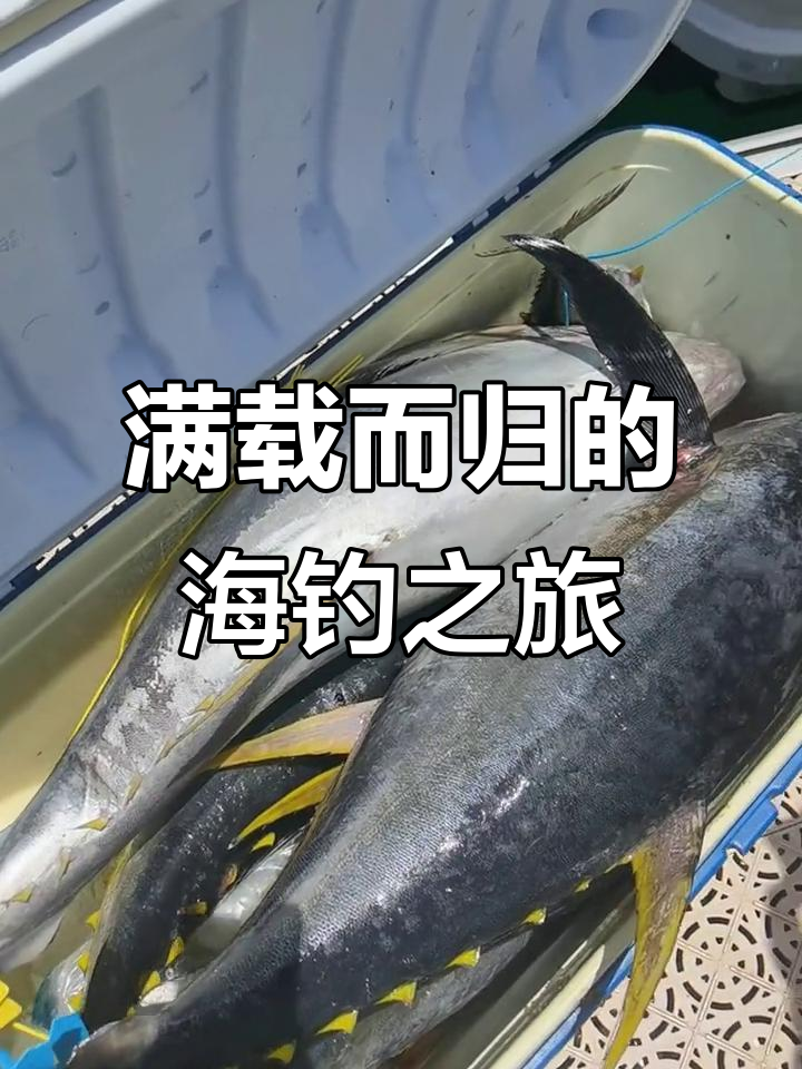 南风海钓(南风适合钓海鱼吗)
