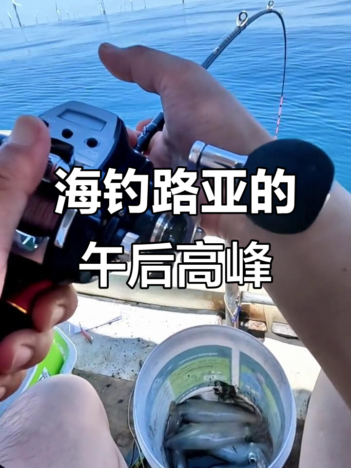 海钓可以用路亚(海钓能当路亚用么?)