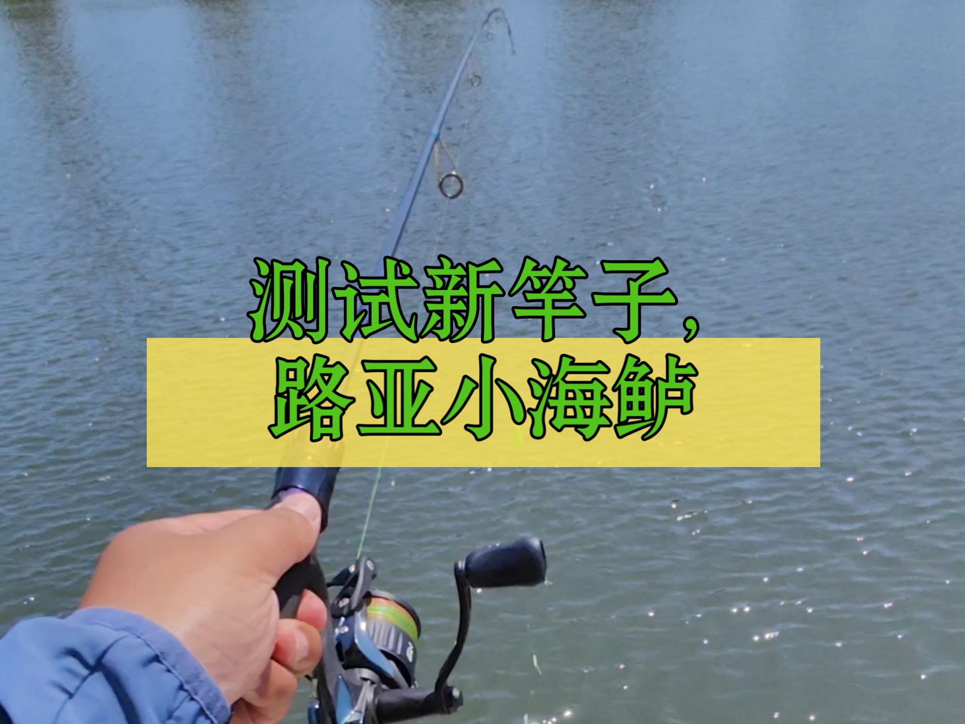 路亚海鲈前导(海钓鲈鱼前导线如何使用)