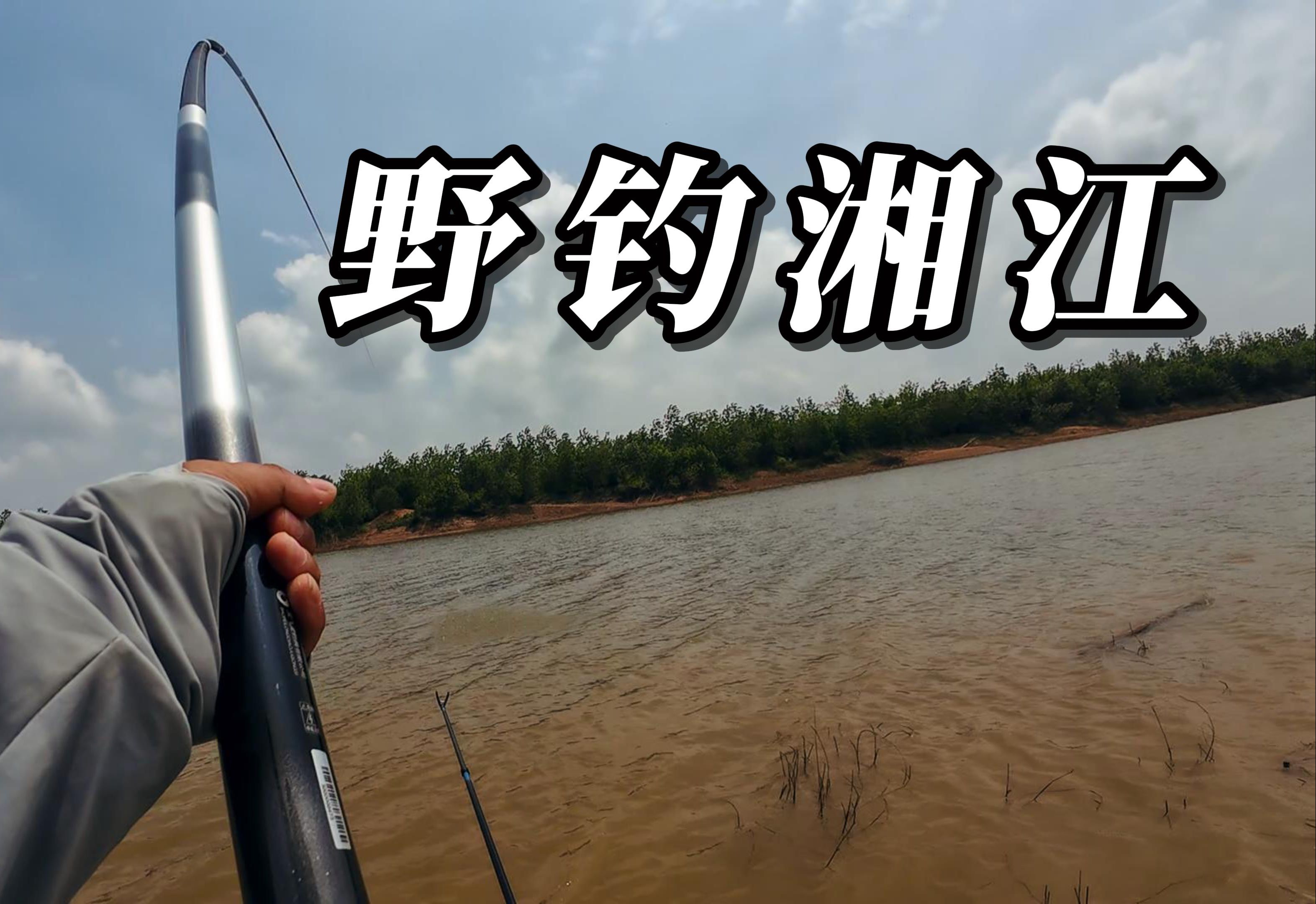 野江河钓鱼技巧(野钓江河用什么鱼饵)