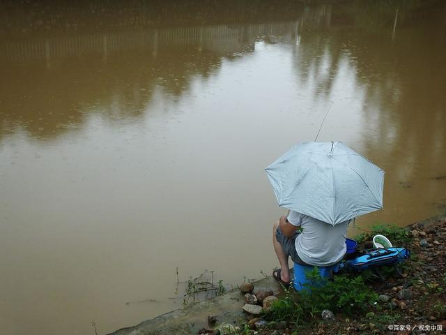 雨天野钓经验技巧(雨天野钓钓深还是钓浅)