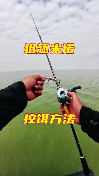 路亚钓大河(河水路亚)