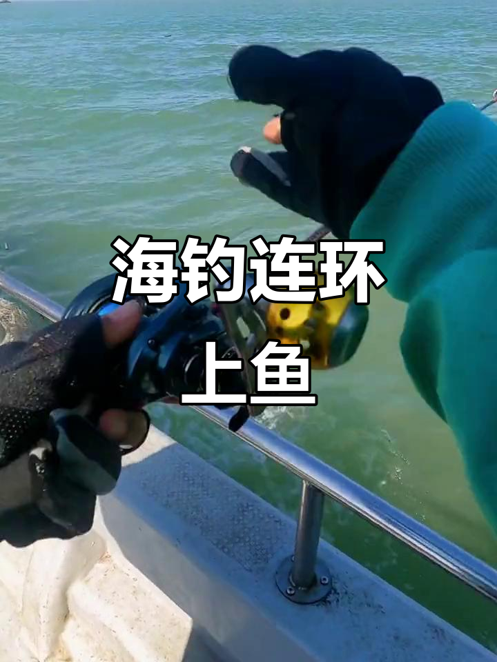 津唐港海钓(京唐港海钓)
