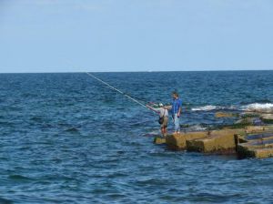 惠安海钓网(惠安海边哪里可以钓鱼)