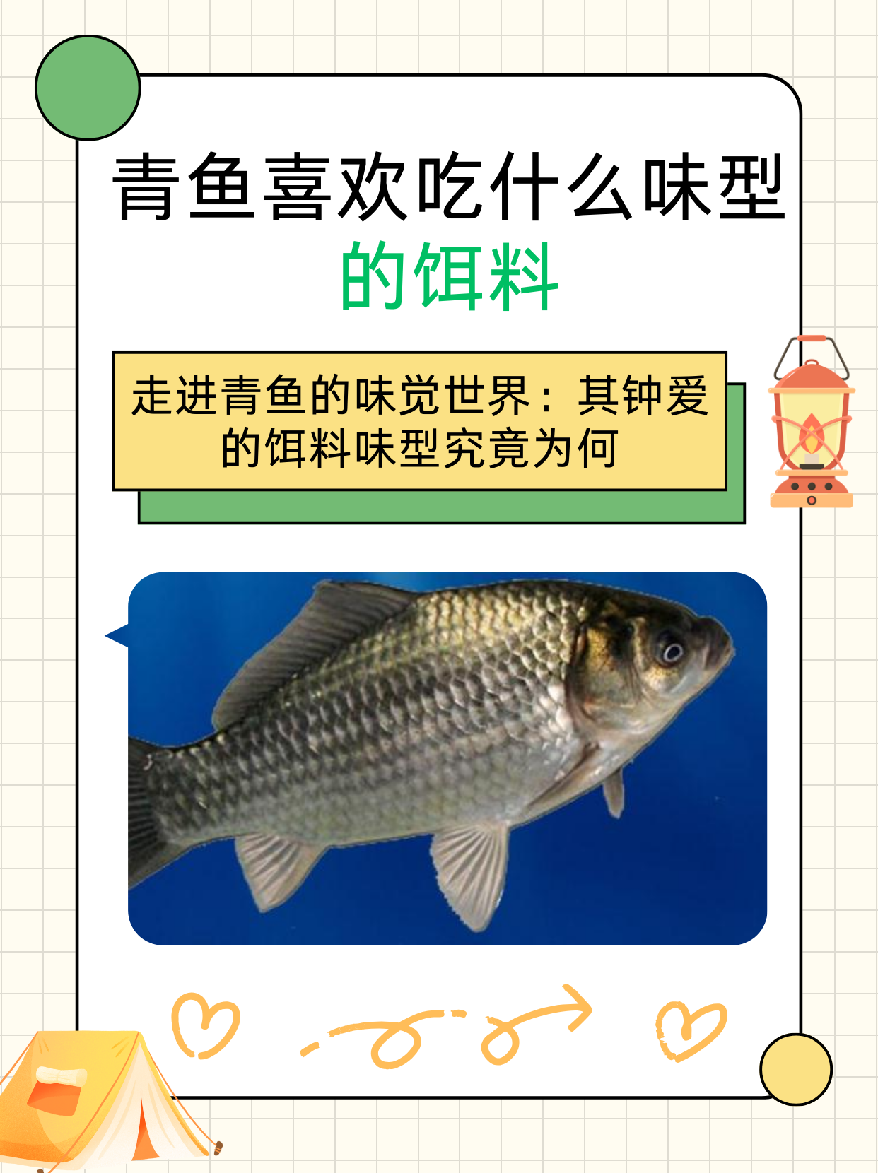 秋天饵料味型选择(秋天饵料味型选择)