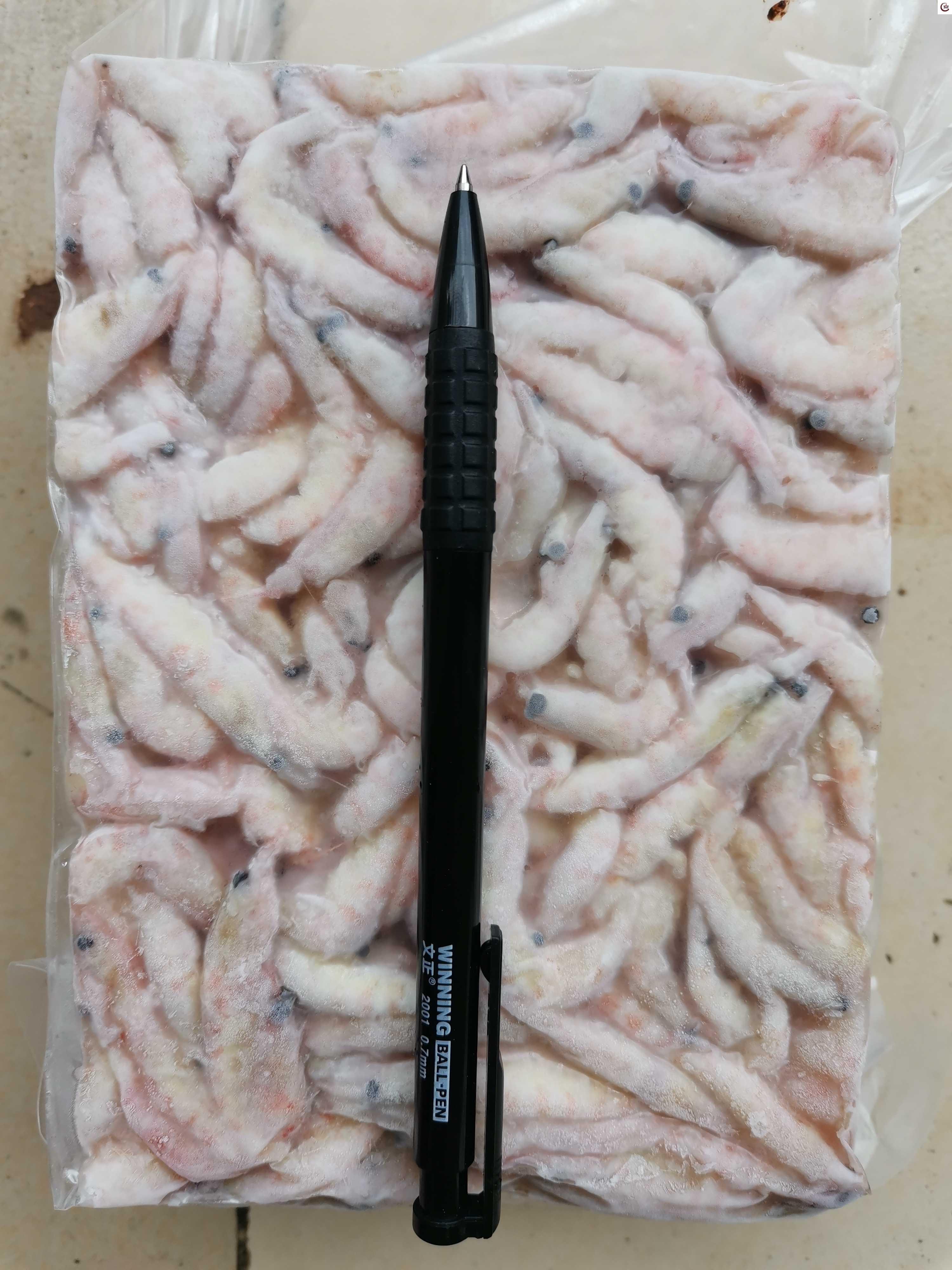 自制虾仁海钓鱼饵(秘制虾仁 海钓要放冰箱吗)