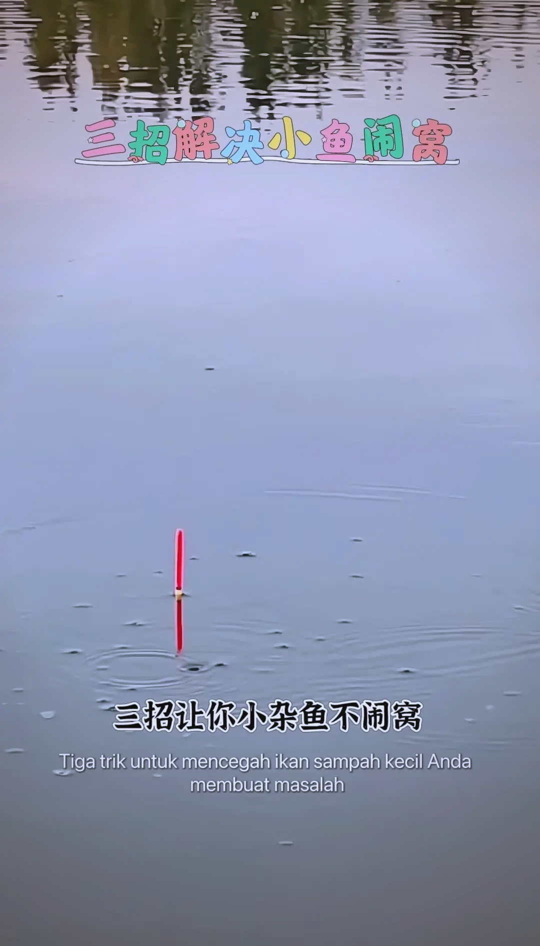 野钓夜钓大鱼的技巧(野钓夜钓大鱼的技巧图解)
