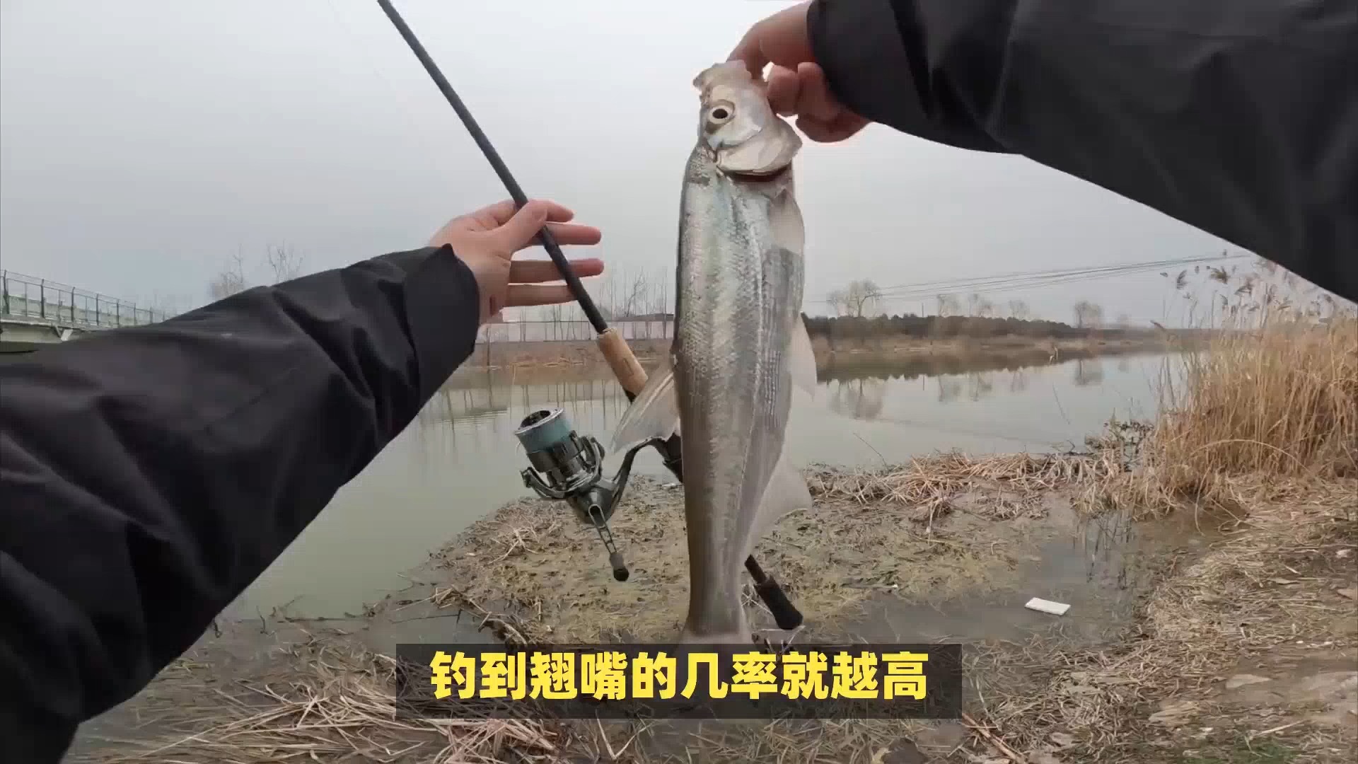 水库翘嘴技巧大全(水库钓翘嘴鱼技巧)