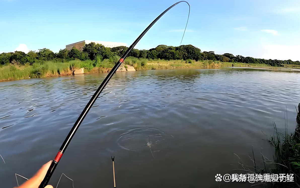 浑水怎么钓鱼技巧(浑水怎么钓鱼技巧和方法)
