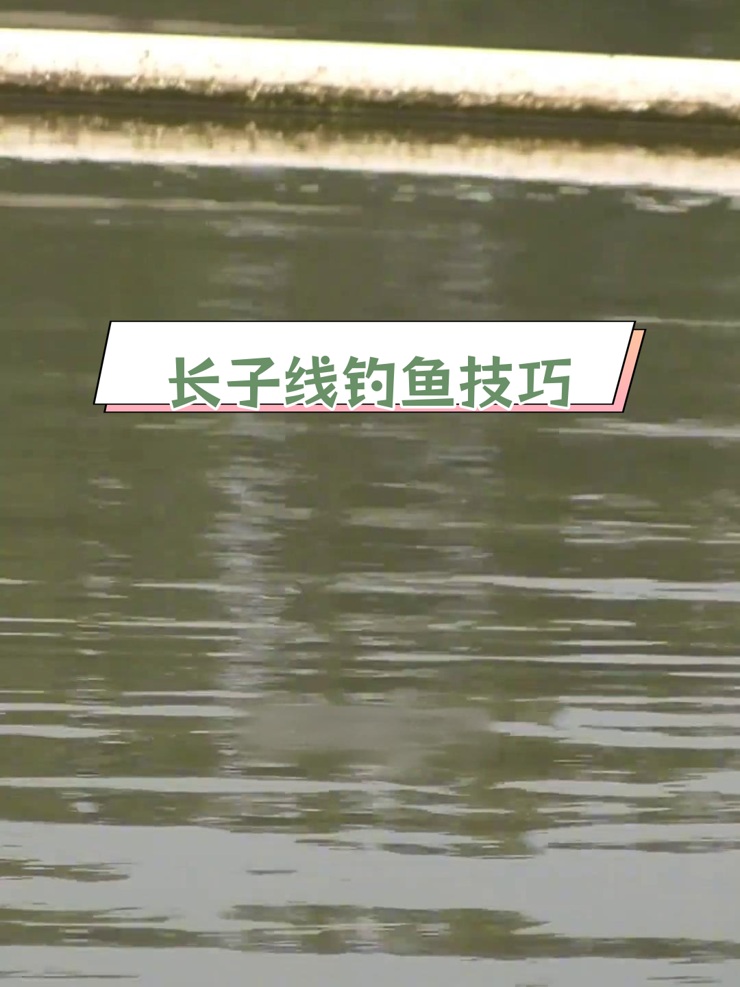 夏天阀杆野钓技巧(阀杆能钓大鱼吗)