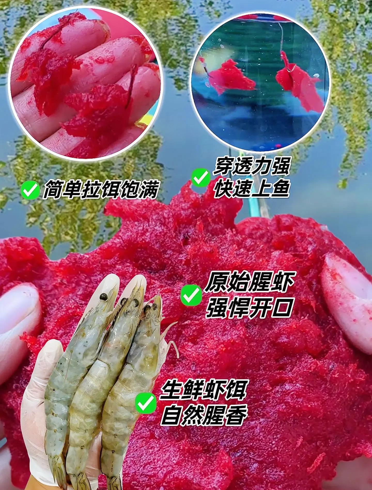 饵料添加虾肉比例(拉饵加虾肉)