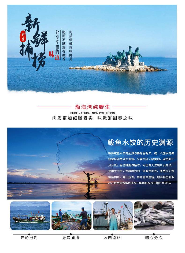 渤海钓鲅鱼线组(渤海湾钓鲅鱼)