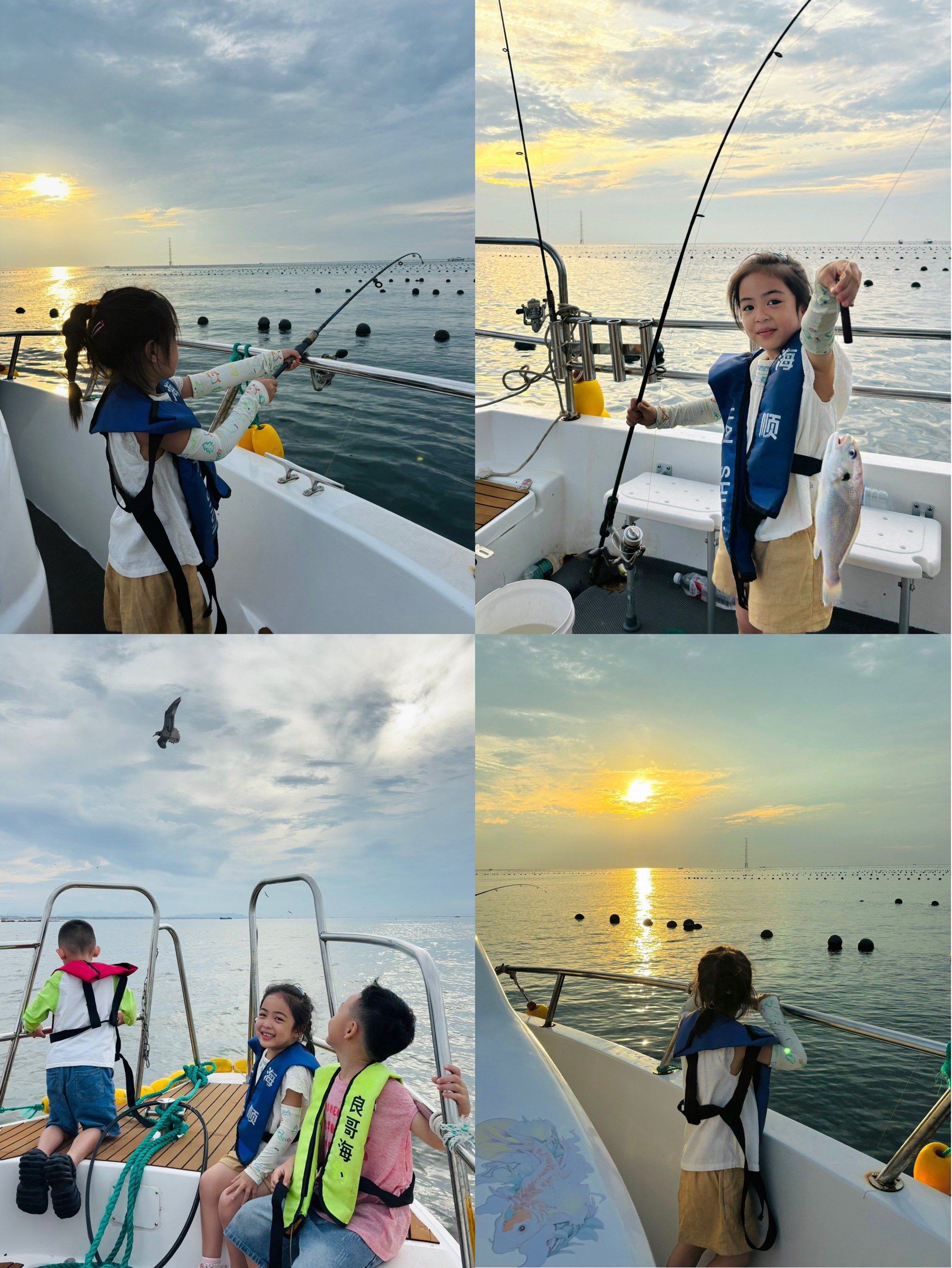 威海海钓攻略(威海海钓哪里鱼多)
