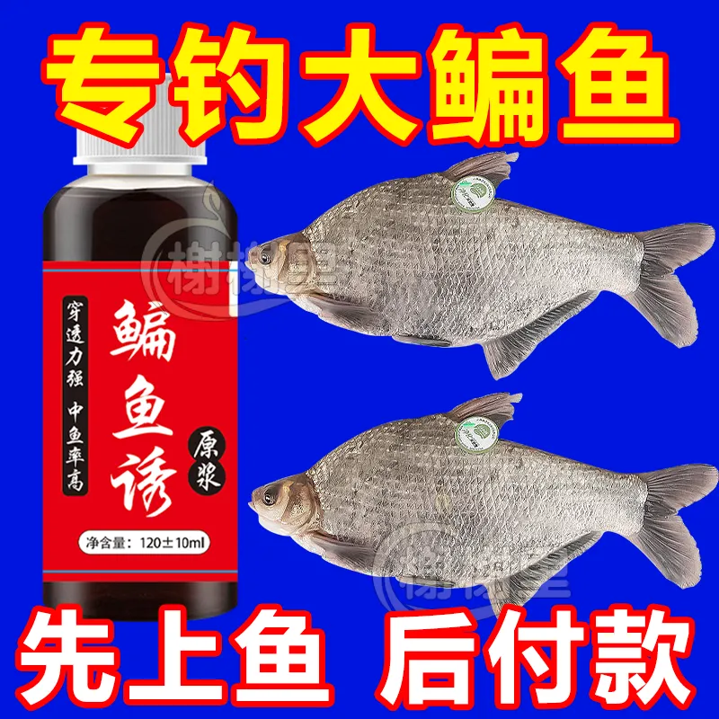 钓鳊鱼最好钓饵料(钓鲴鱼最好的饵料配方)