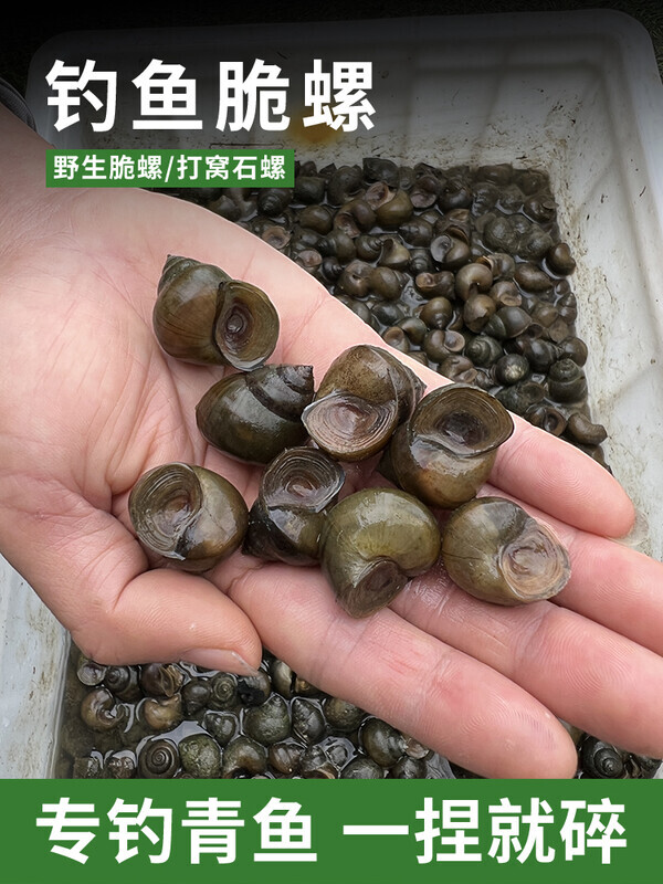 螺丝打窝技巧(螺丝打窝不会跑吗)
