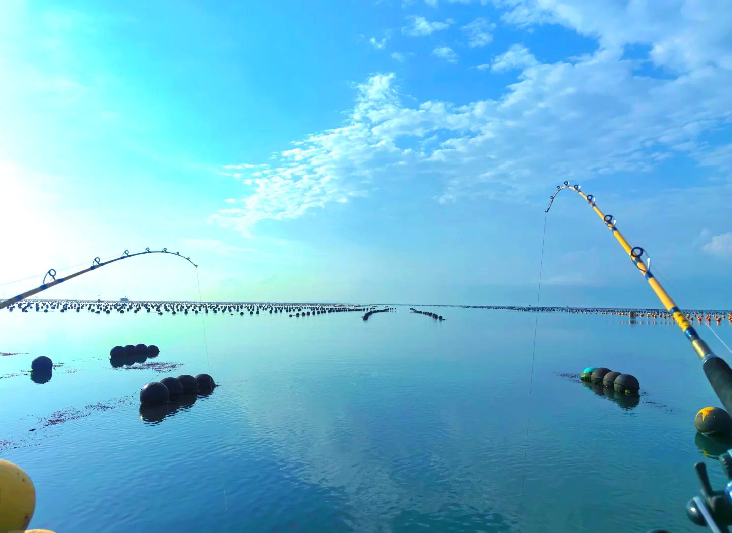勃海湾海钓地点(勃海渔村电话)