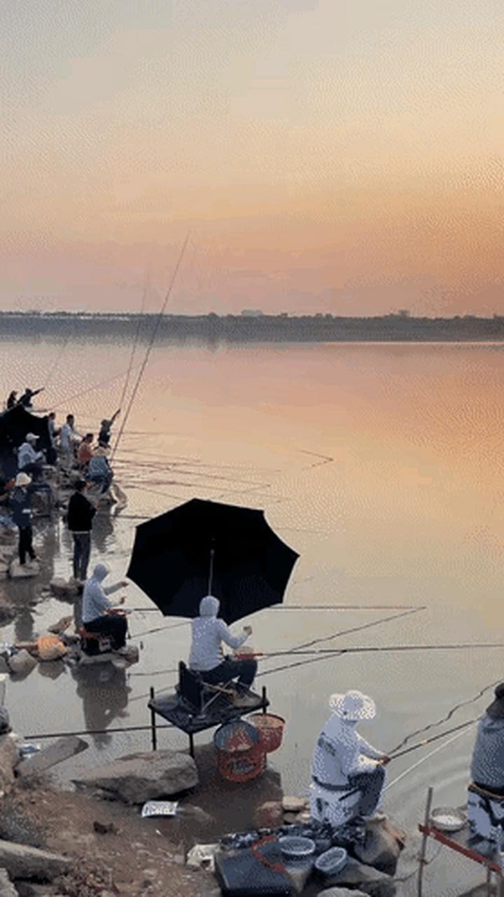 惠州免费海钓地点(惠州免费海钓地点在哪里)