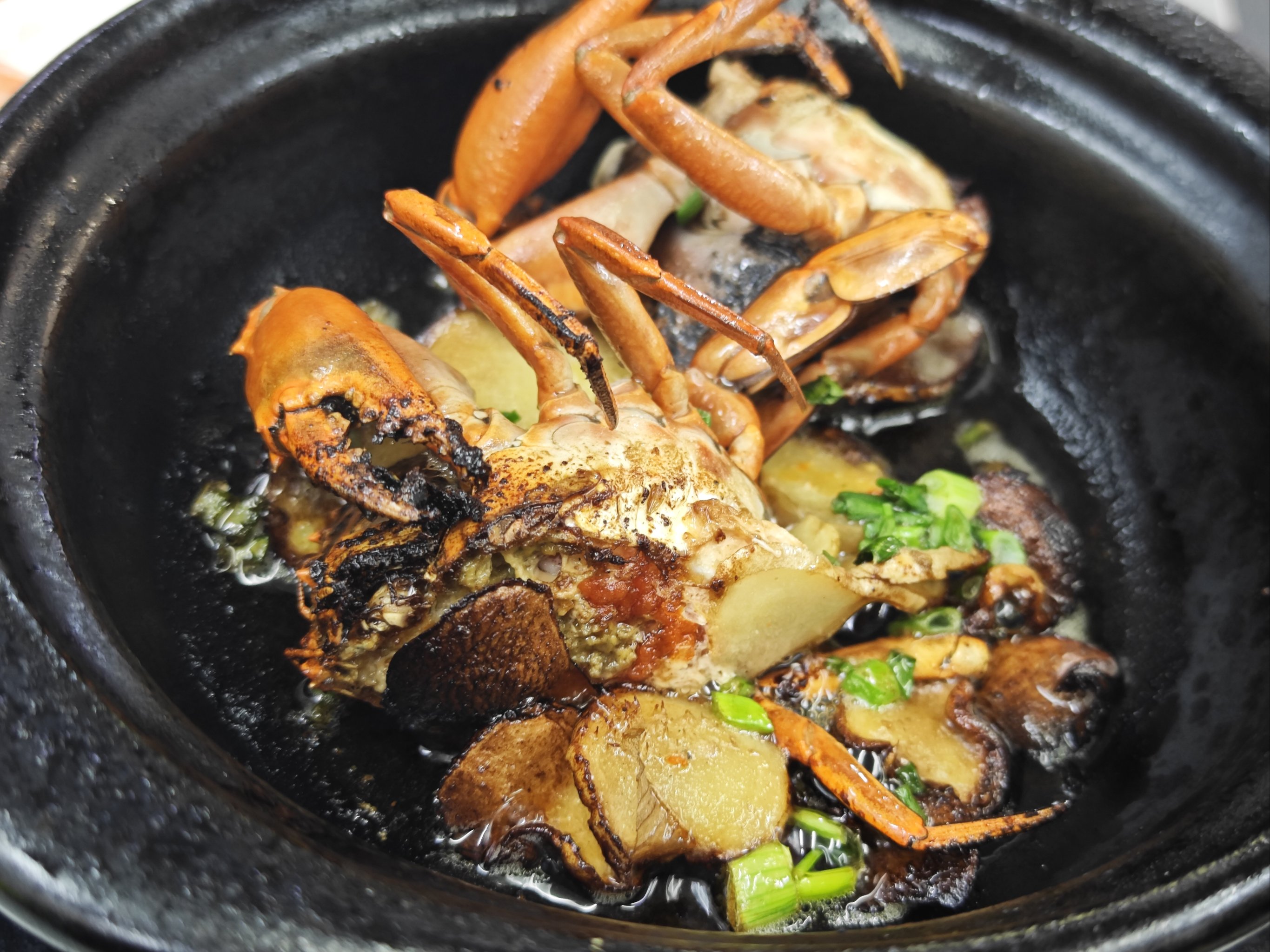 蟹肉海钓(海钓螃蟹视频)