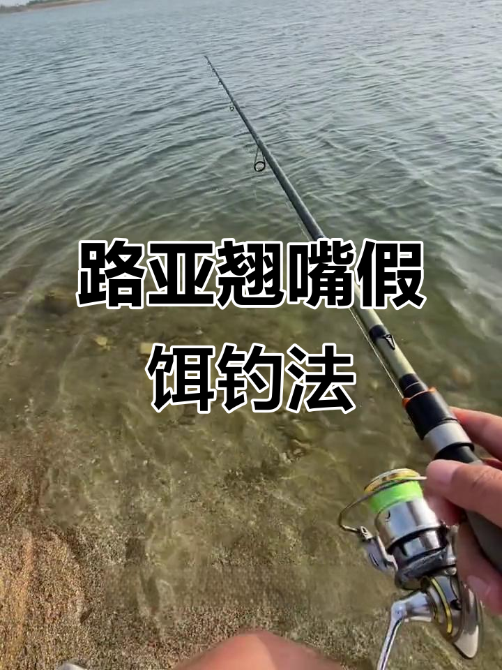 路亚钓技巧(路亚钓鱼新手教程)