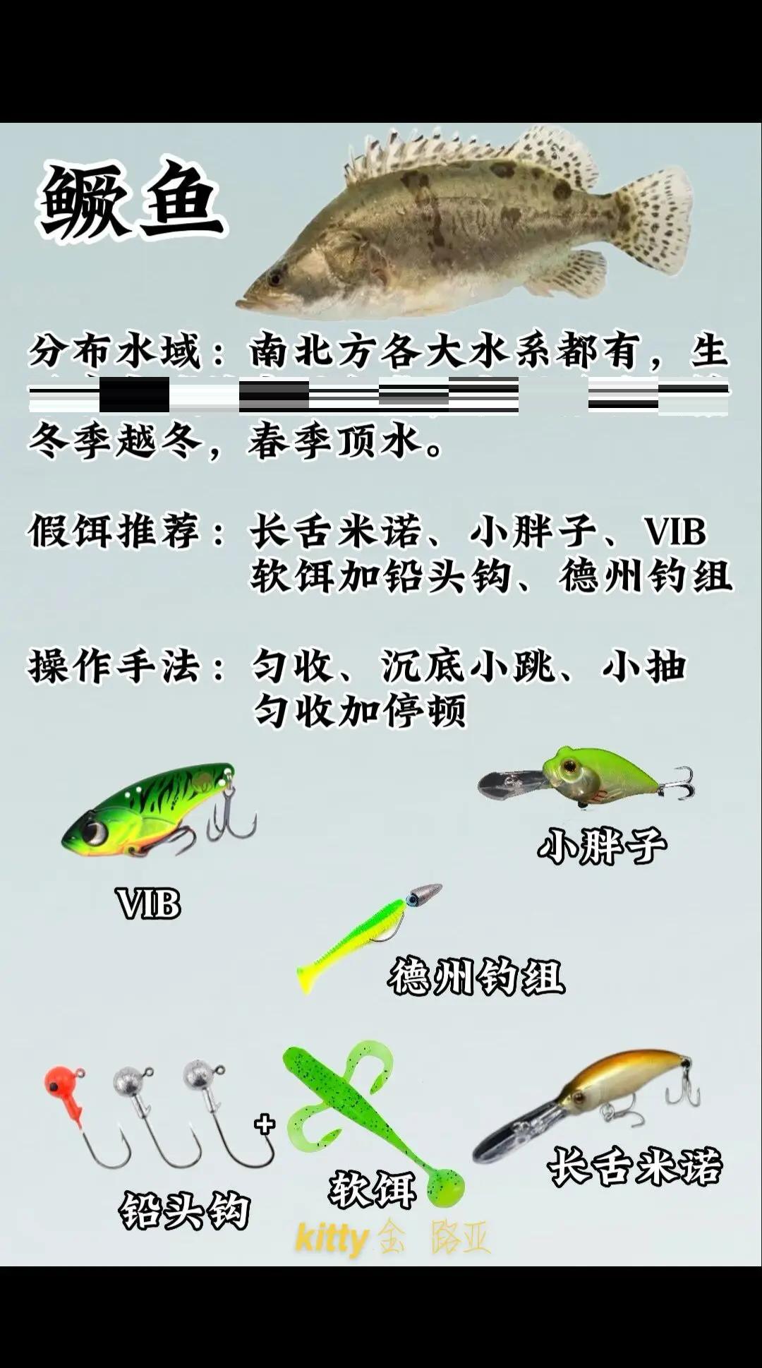 路亚钓技巧(路亚钓鱼新手教程)
