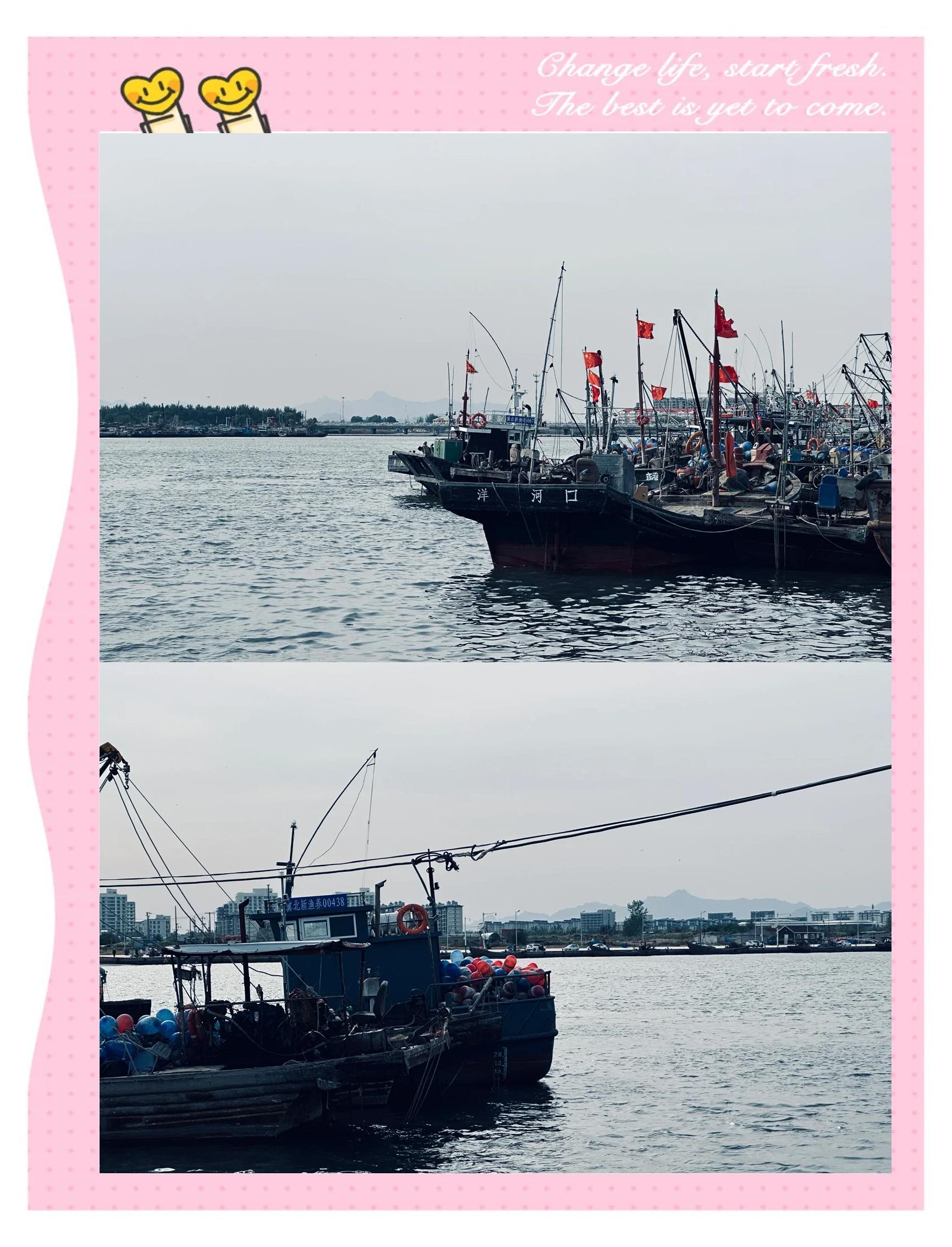 北戴河海钓地点(北戴河海钓地点在哪里)