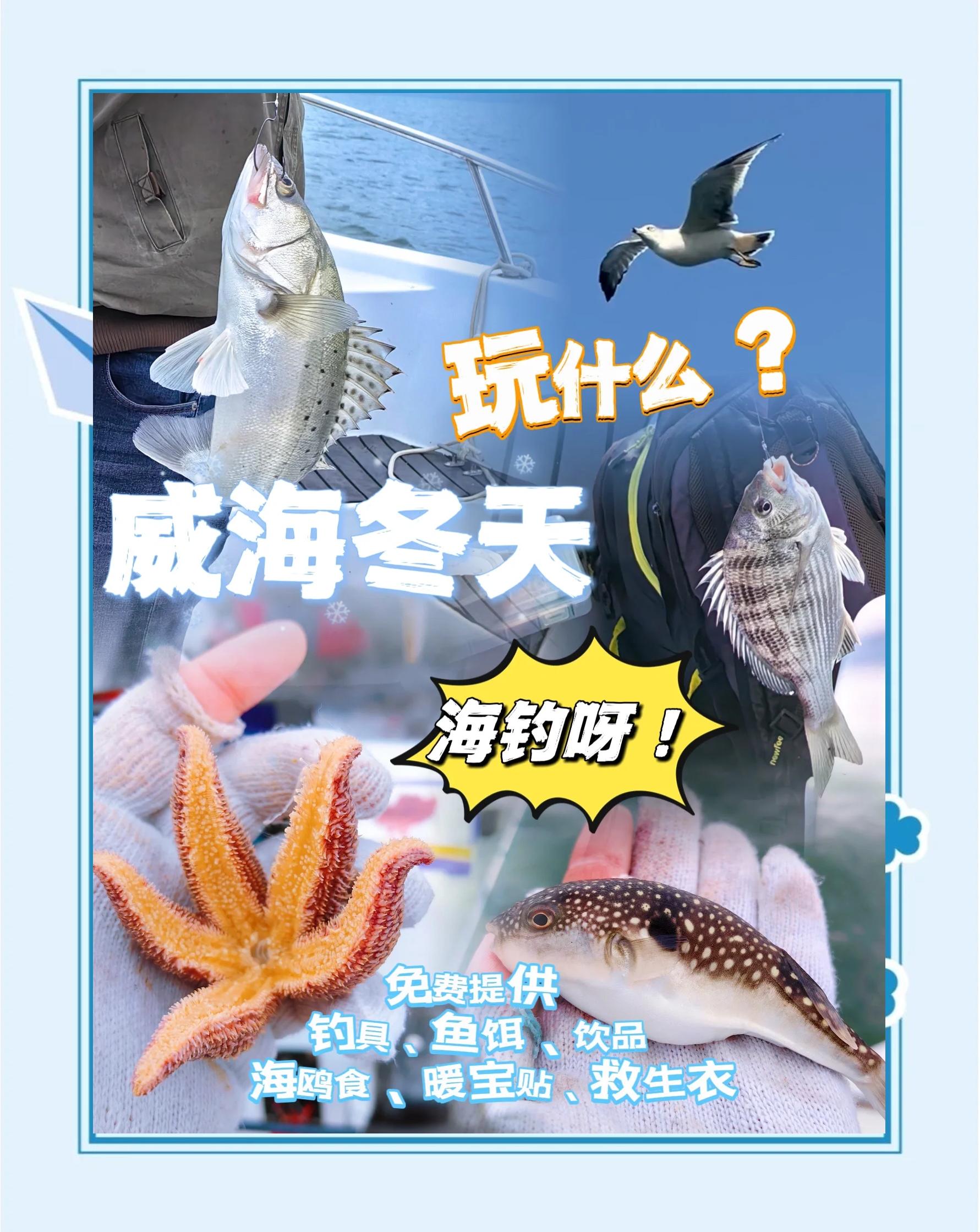 威海海钓地方(威海海钓全攻略,你不知道的都在这了)