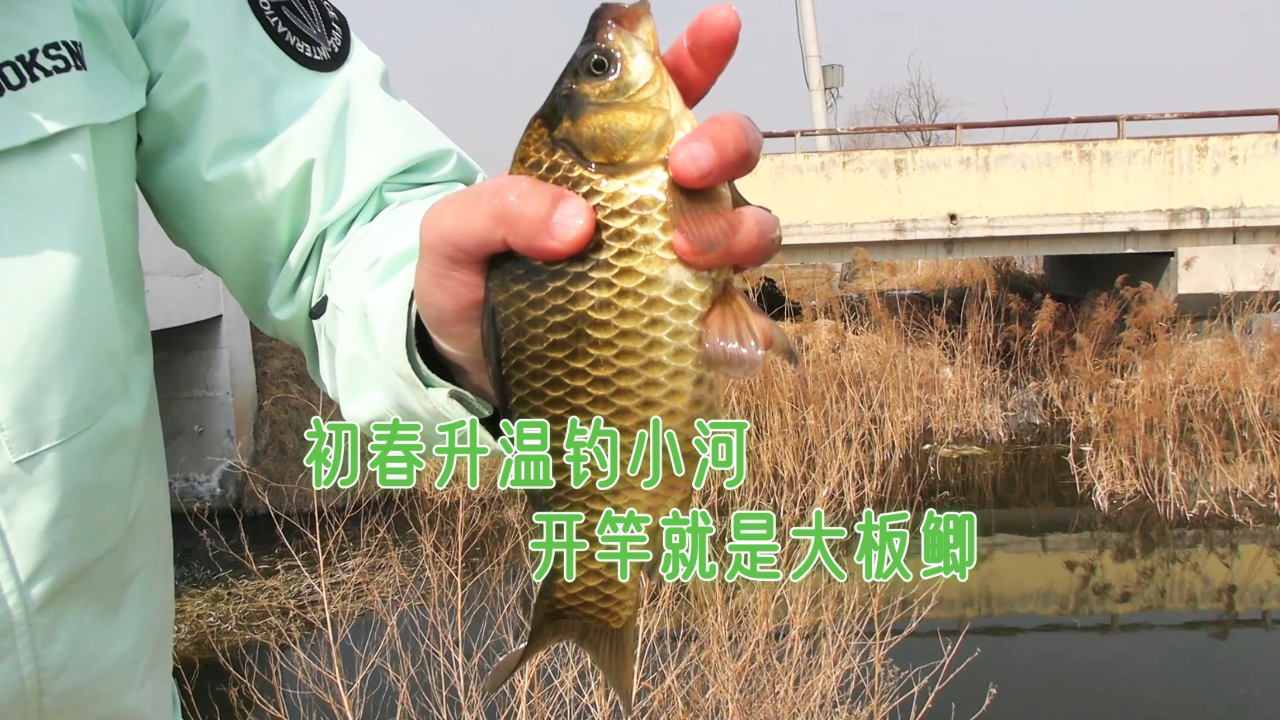 秋天小河钓鱼技巧(秋天河里钓鱼的技术及技巧)