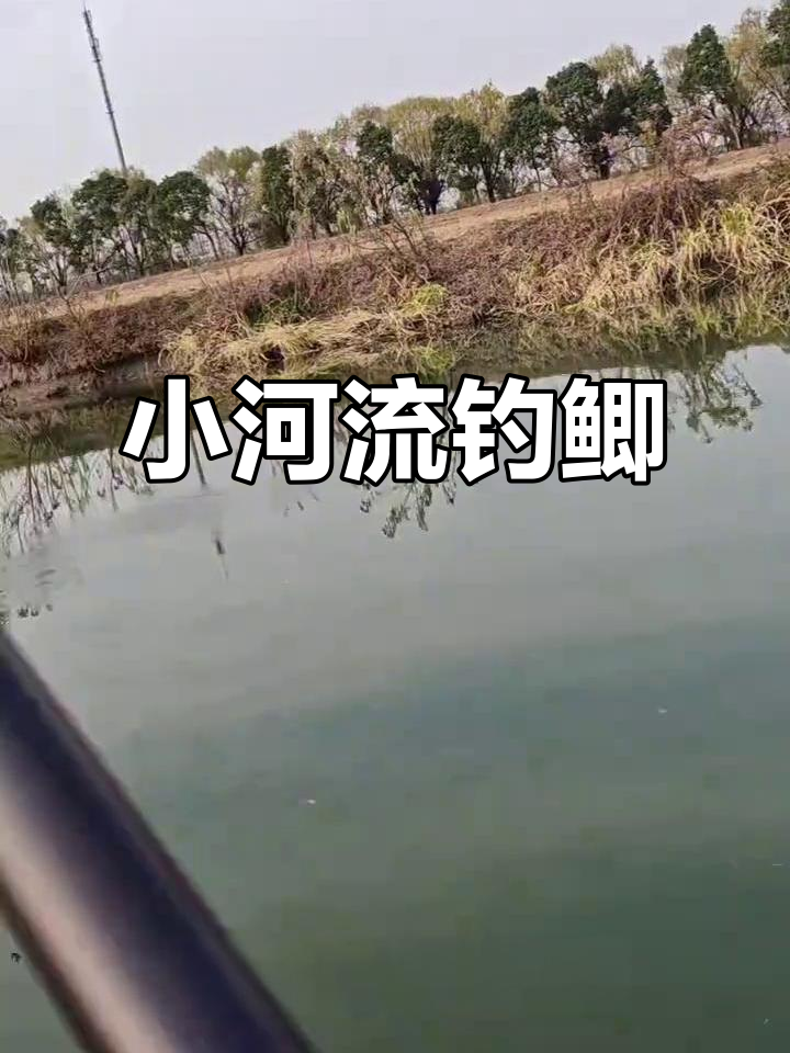 秋天小河钓鱼技巧(秋天河里钓鱼的技术及技巧)