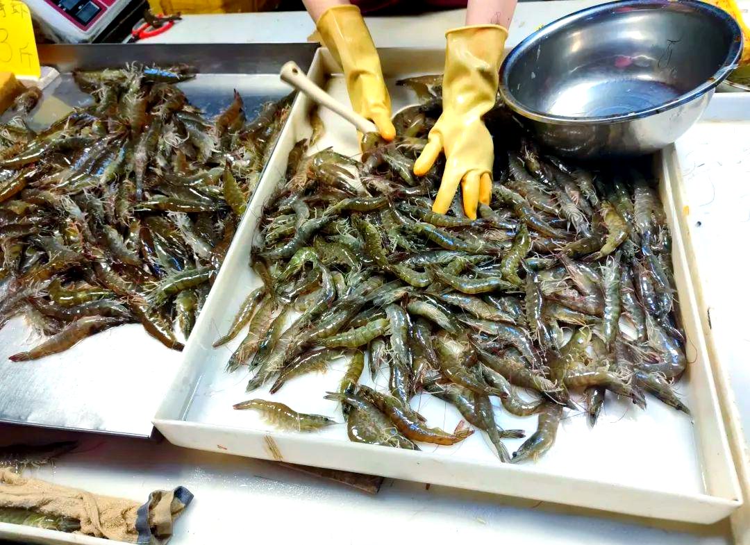 卖活虾有技巧吗(卖活虾有技巧吗图片)