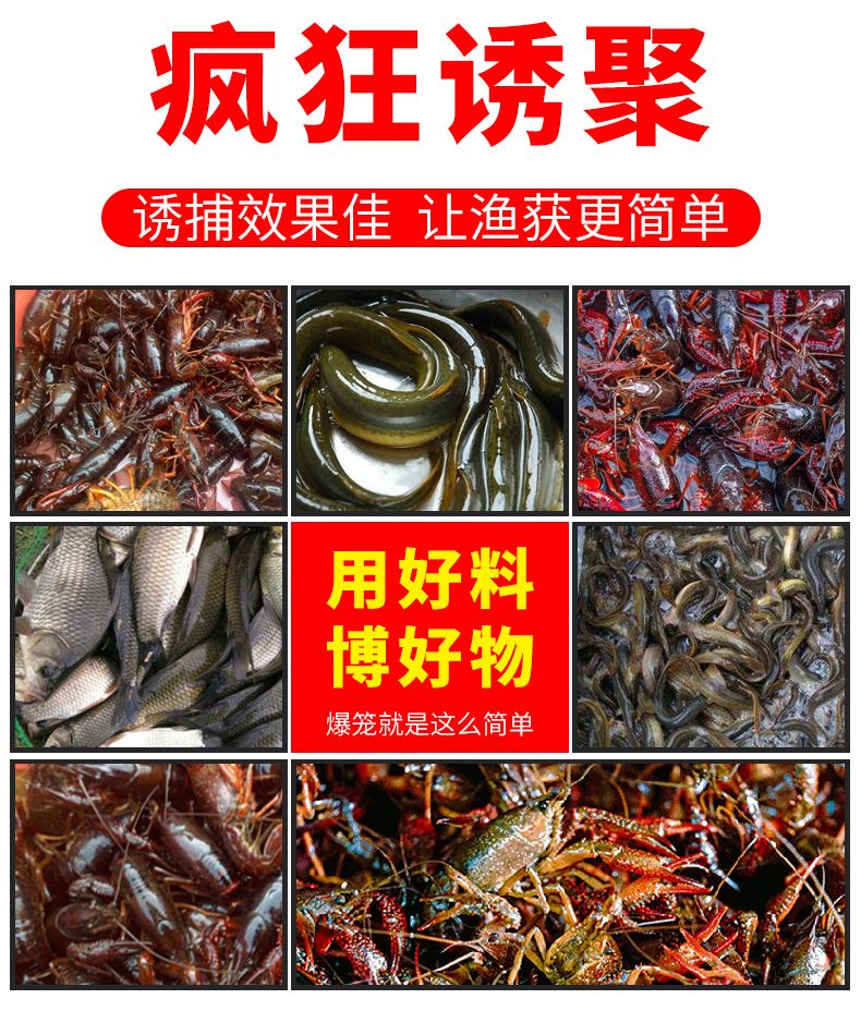 野生泥鳅饵料(野生泥鳅鱼吃什么)
