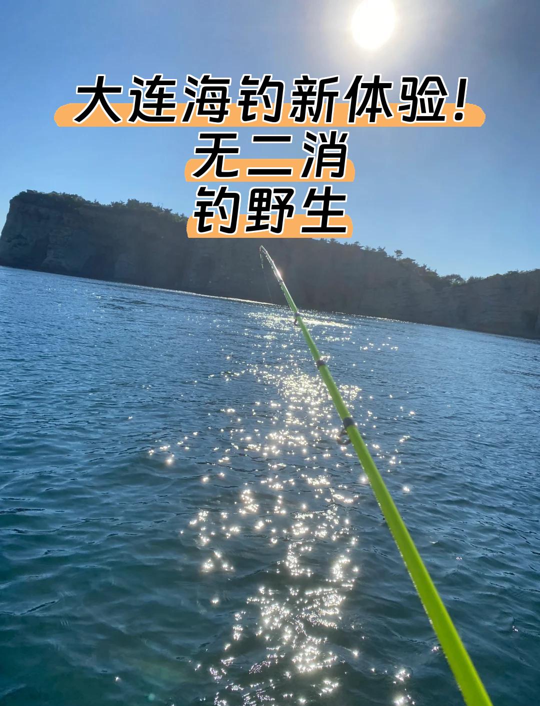 大连海钓图片大全(大连海钓鱼种类)