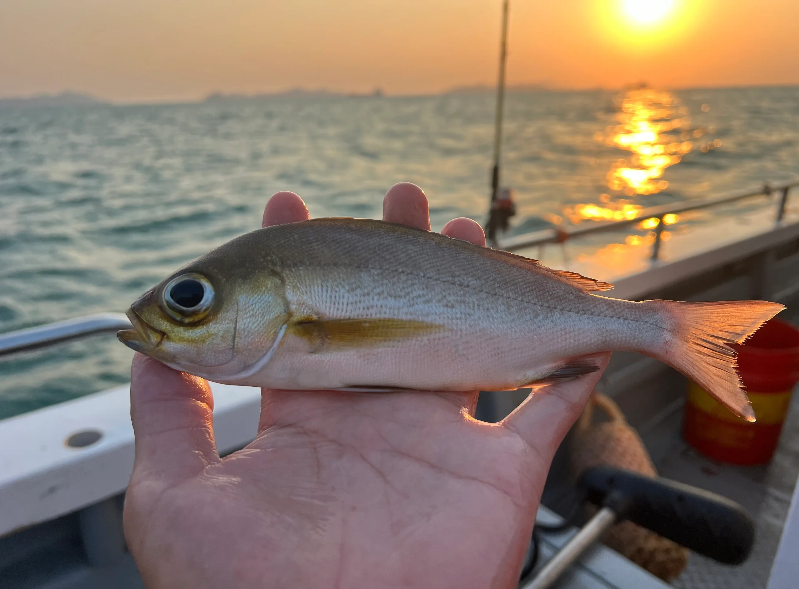 珠海海钓场(珠海钓场大全)
