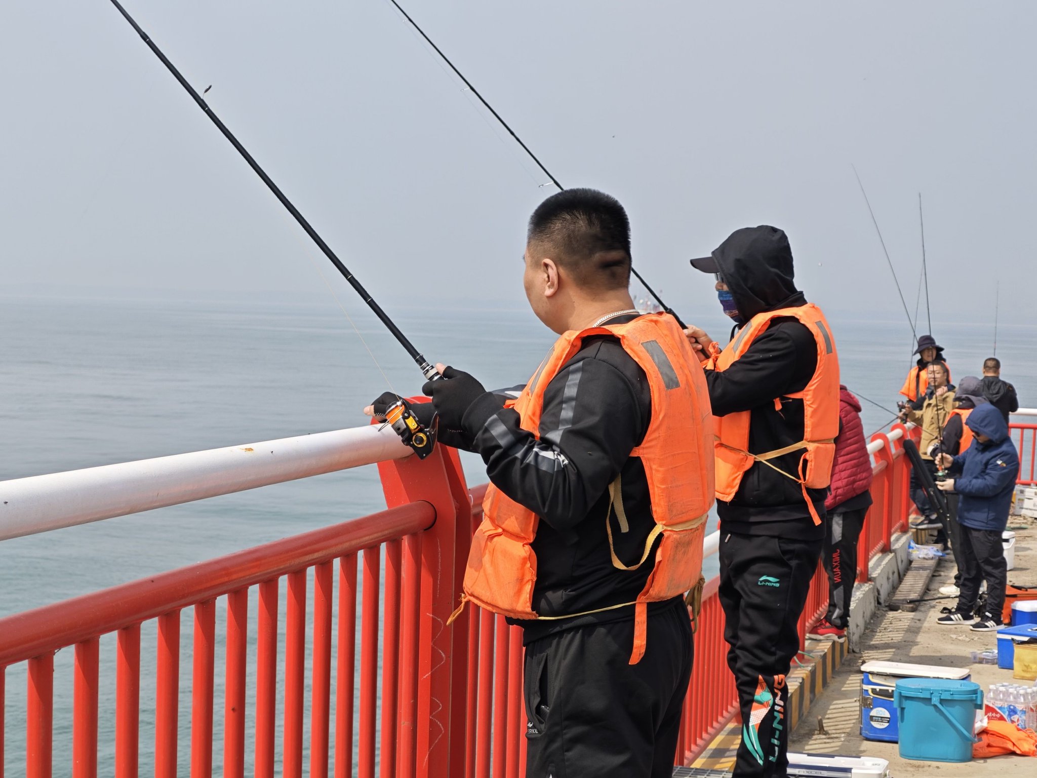 天津市海钓论坛(天津海钓能钓到什么鱼)