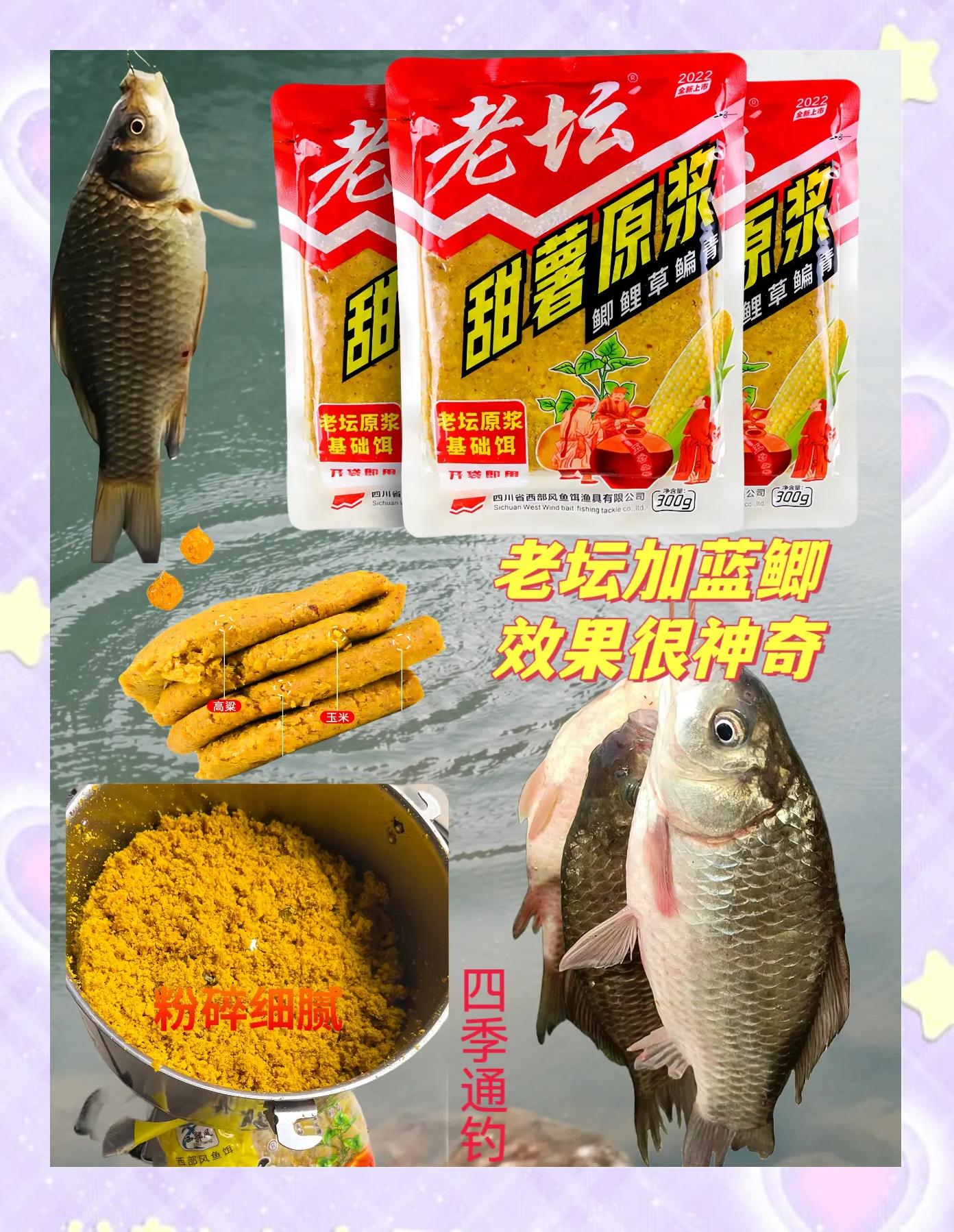 味精钓鱼技巧(味精钓鱼怎么用法)