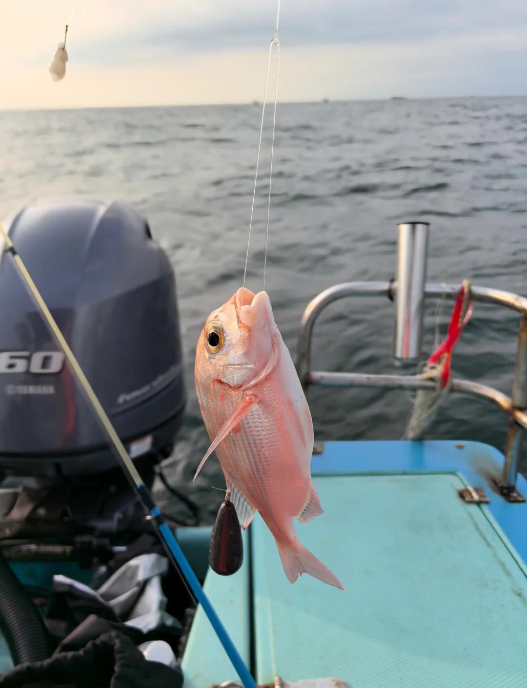 北海海钓俱乐部(北海海钓俱乐部电话)