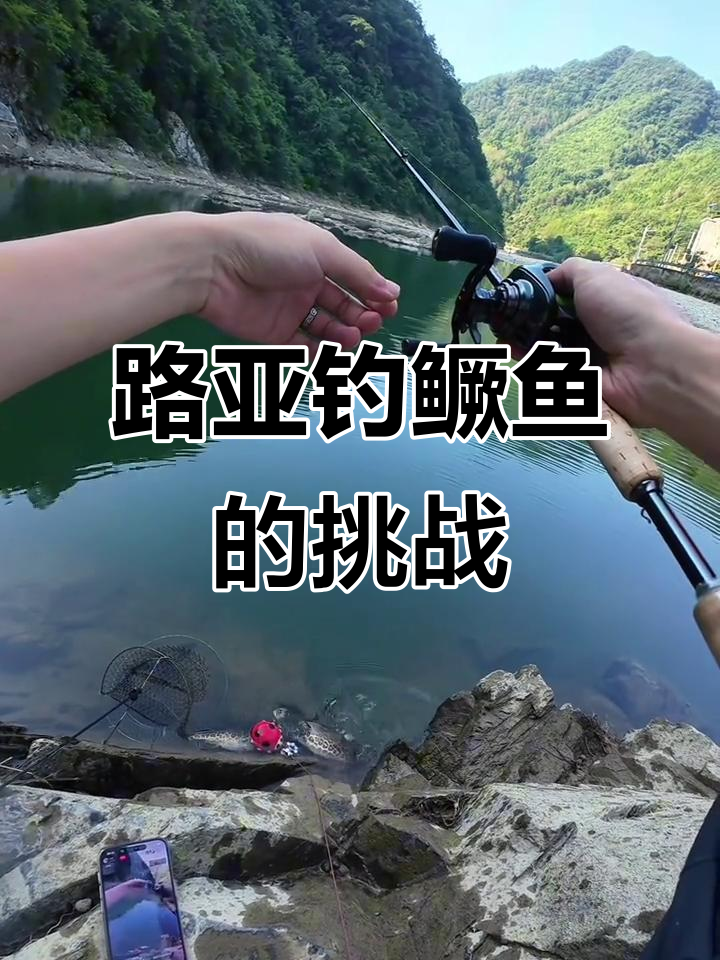 路亚海域(路亚海滩)