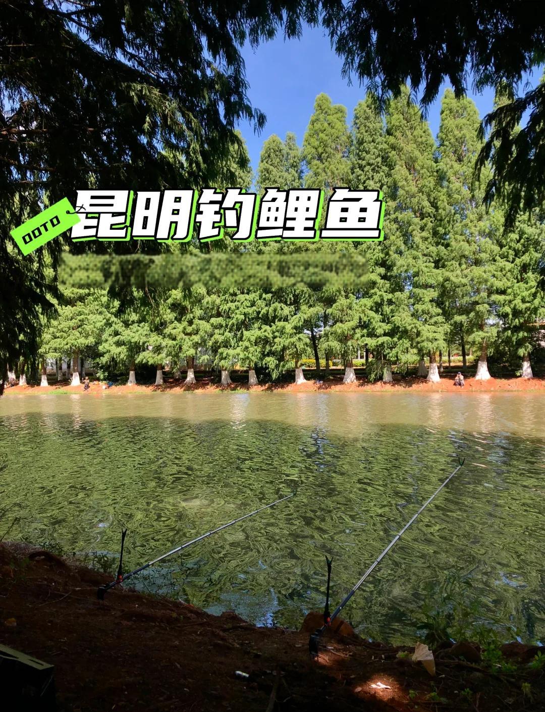 昆明垂钓渔具平台(昆明钓具批发市场)