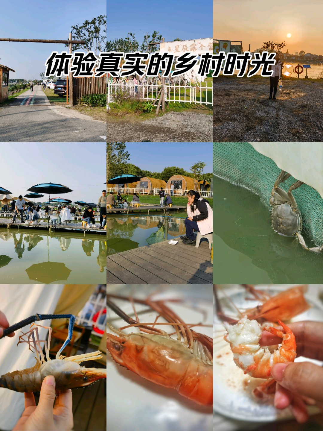 秋冬用虾子钓鱼技巧(秋季钓虾)