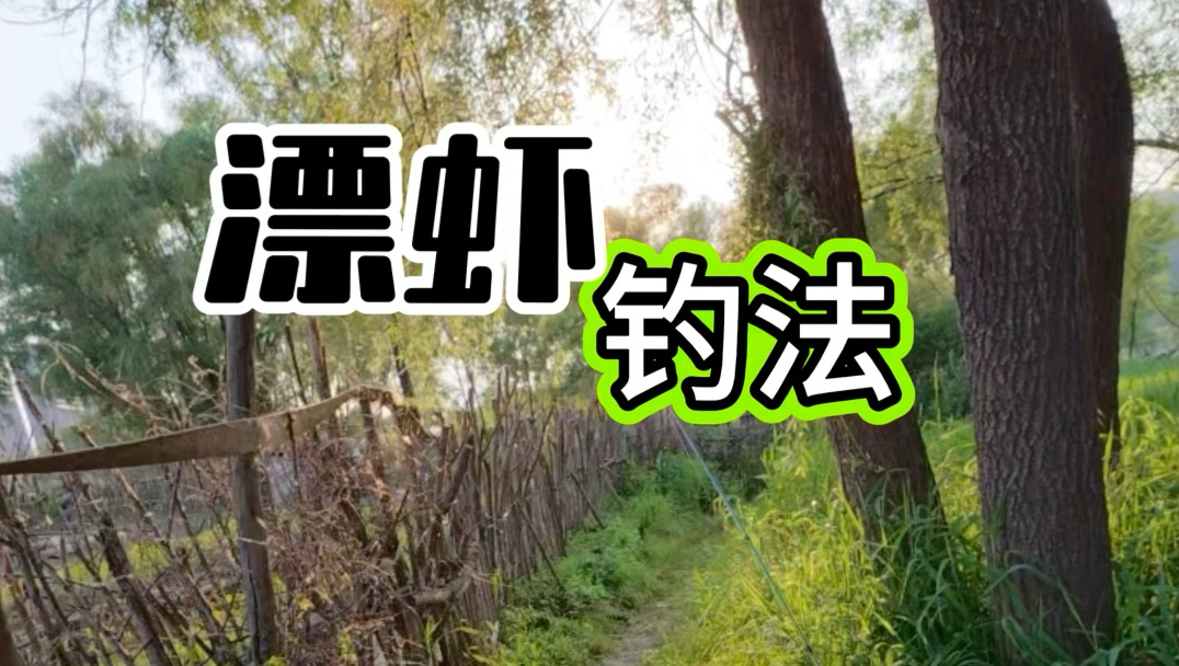 秋冬用虾子钓鱼技巧(秋季钓虾)